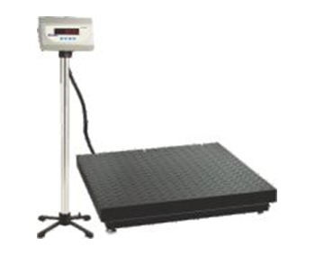 Heavy Duty Platform Scale